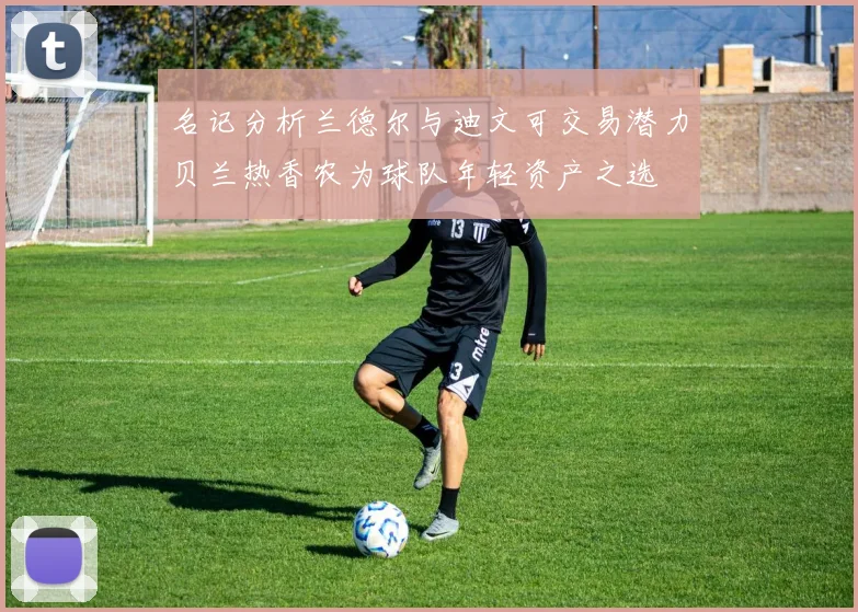 名记分析兰德尔与迪文可交易潜力贝兰热香农为球队年轻资产之选