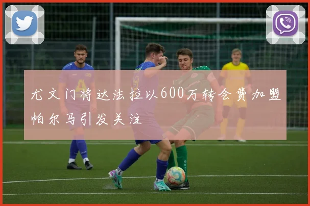 尤文门将达法拉以600万转会费加盟帕尔马引发关注